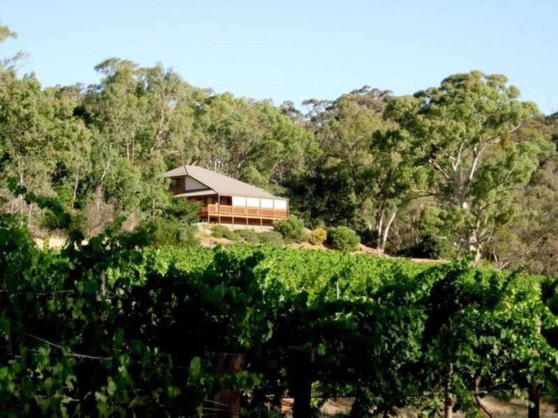 Solly’s Hill Road, Watervale SA 5452