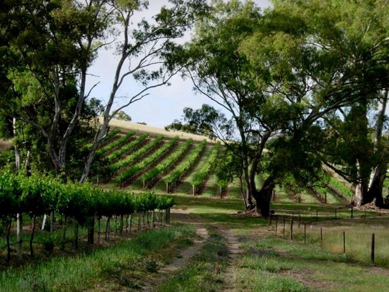 Solly’s Hill Road, Watervale SA 5452