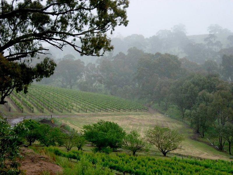 Solly’s Hill Road, Watervale SA 5452