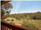 Solly’s Hill Road, Watervale SA 5452