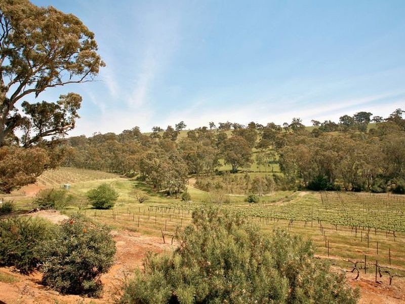 Solly’s Hill Road, Watervale SA 5452