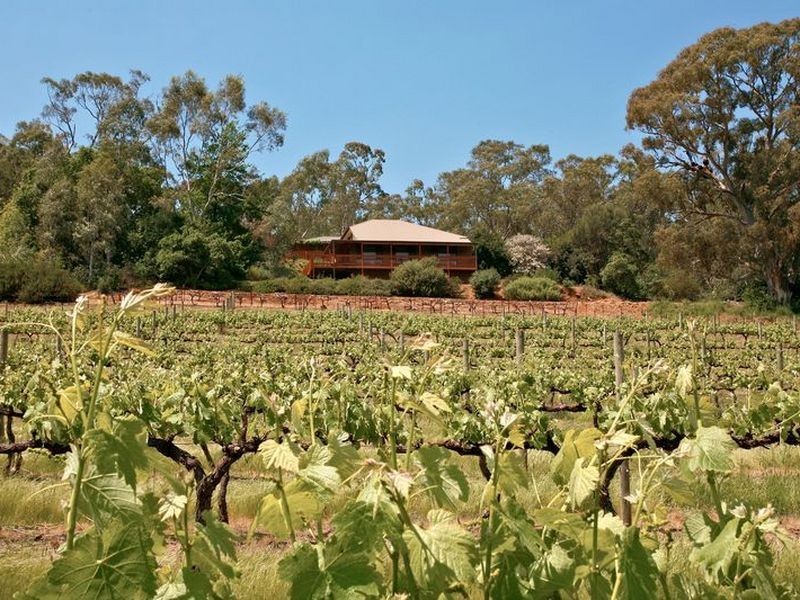 Solly’s Hill Road, Watervale SA 5452