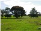 Lots 7 8 & 9 Catharine Street, Farrell Flat SA 5416