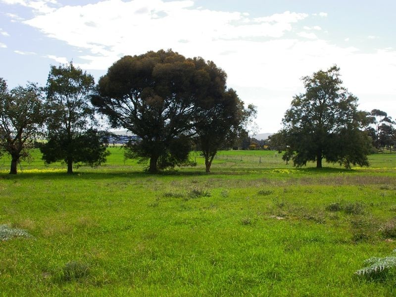 Lots 7 8 & 9 Catharine Street, Farrell Flat SA 5416