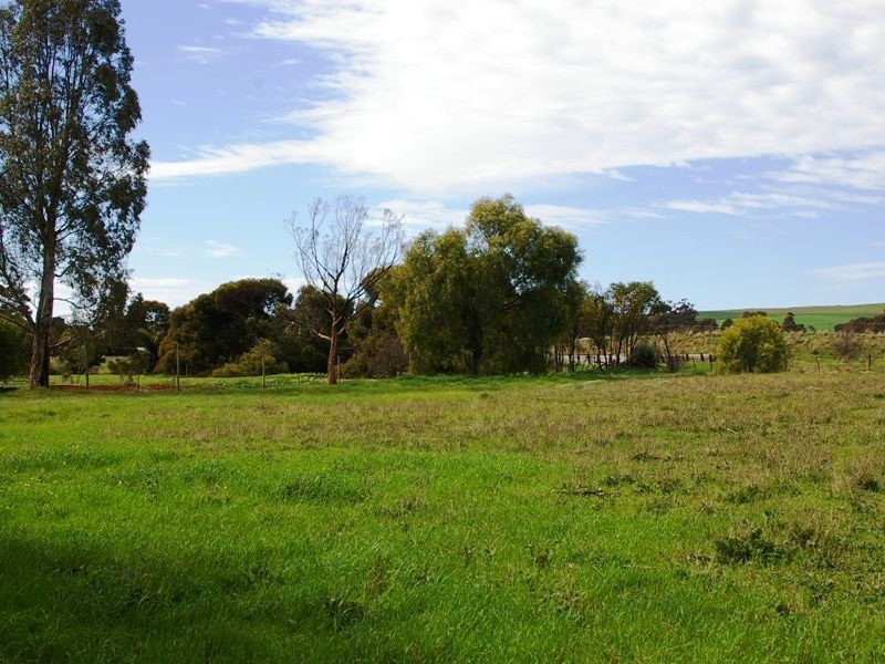 Lots 7 8 & 9 Catharine Street, Farrell Flat SA 5416