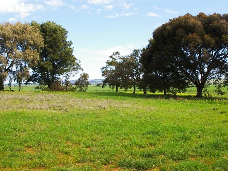 Lots 7 8 & 9 Catharine Street, Farrell Flat SA 5416