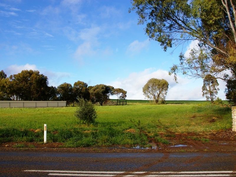 Lots 618 & Saddleworth Road, Auburn SA 5451