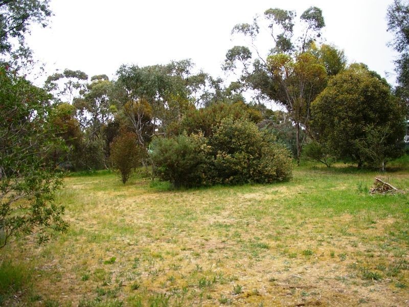 12 Adelaide North Road, Watervale SA 5452