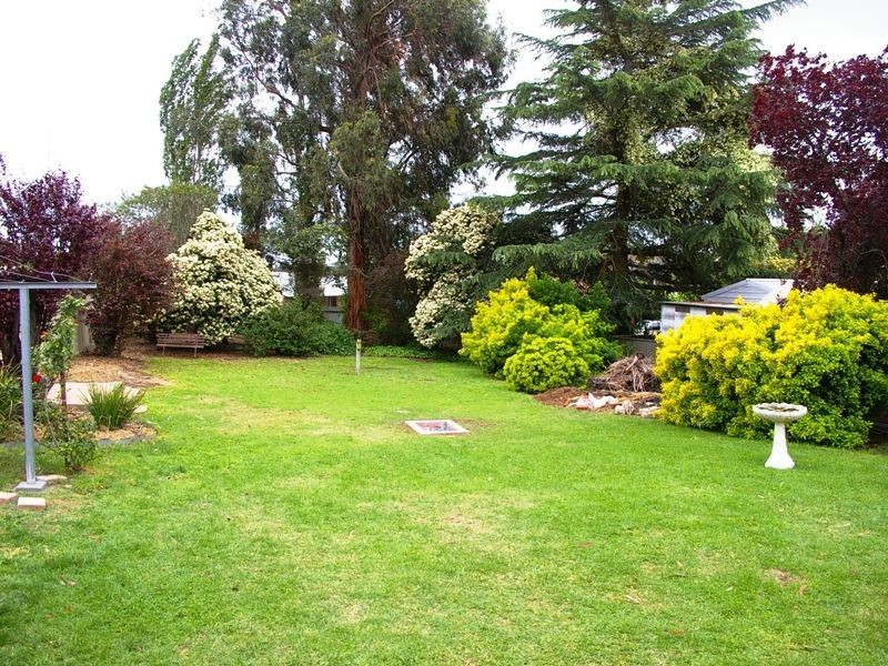 3 William Street, Clare SA 5453