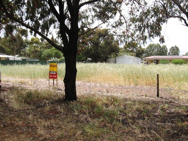 Lot 60 Mais Street, Farrell Flat SA 5416