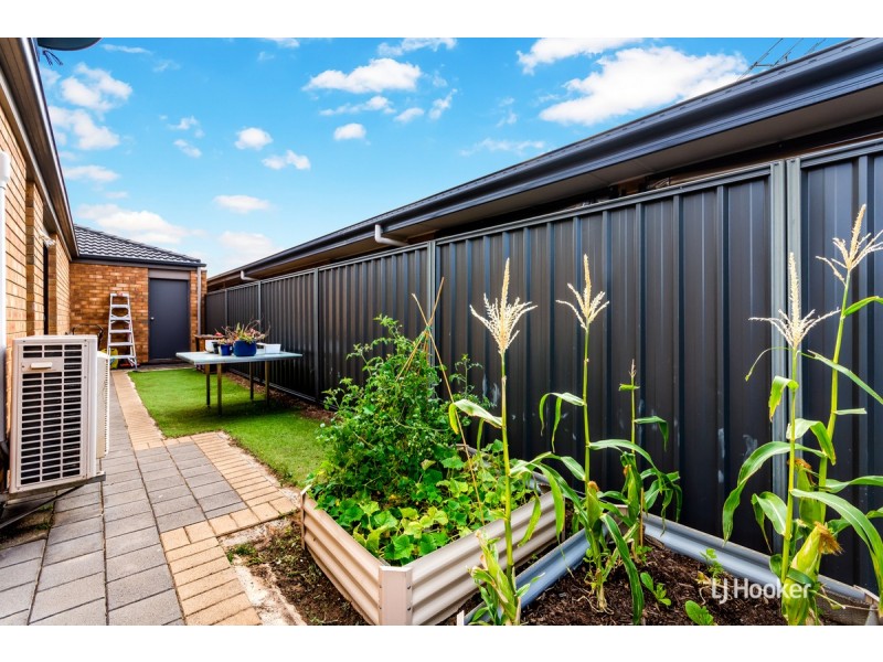 36 Cassia Street, Munno Para West SA 5115
