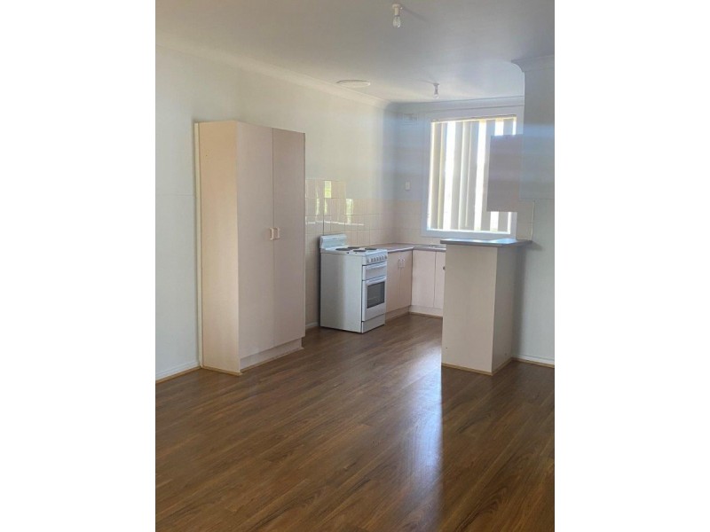 17 Burdell Street, Elizabeth Downs SA 5113