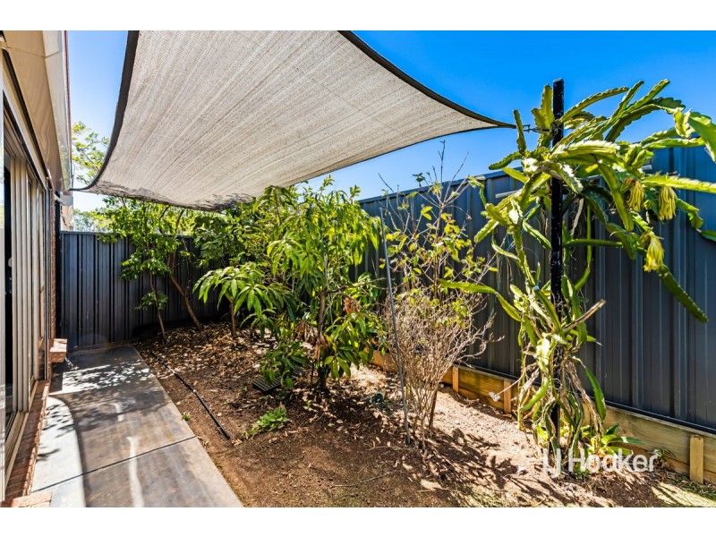 35 Riesling Crescent, Andrews Farm SA 5114