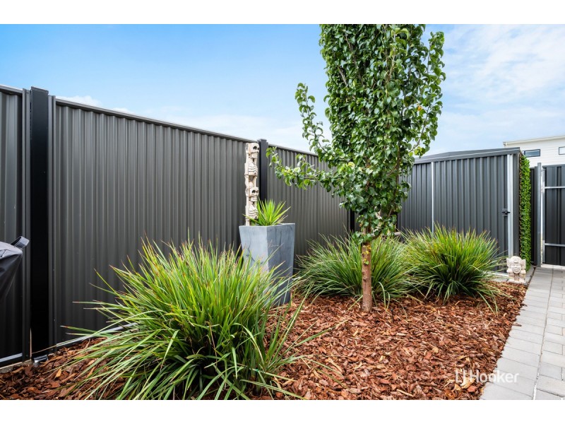 5 Creekside Lane, Blakeview SA 5114
