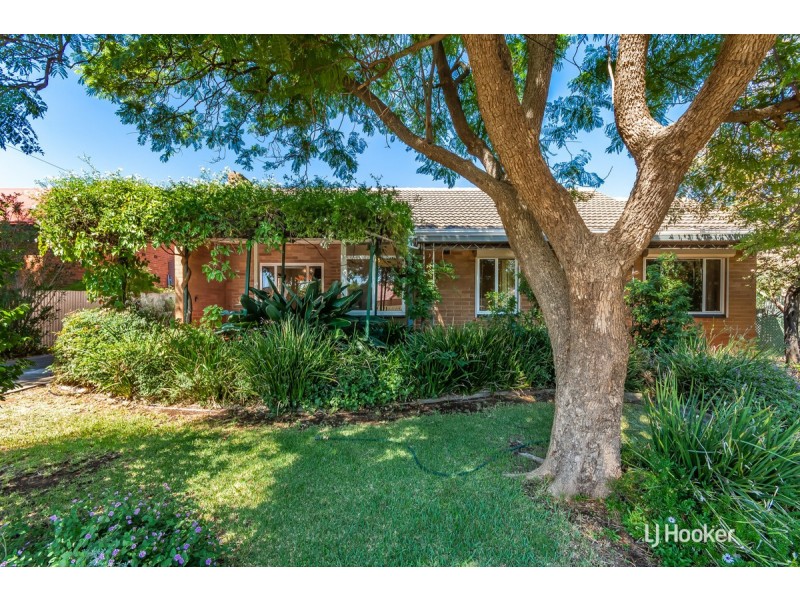 10 Alexander Street, Elizabeth Park SA 5113