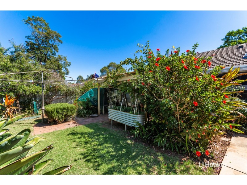 10 Alexander Street, Elizabeth Park SA 5113