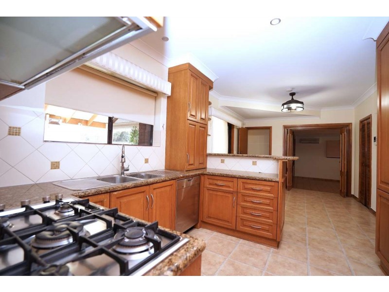 16 Burton Road, Athelstone SA 5076