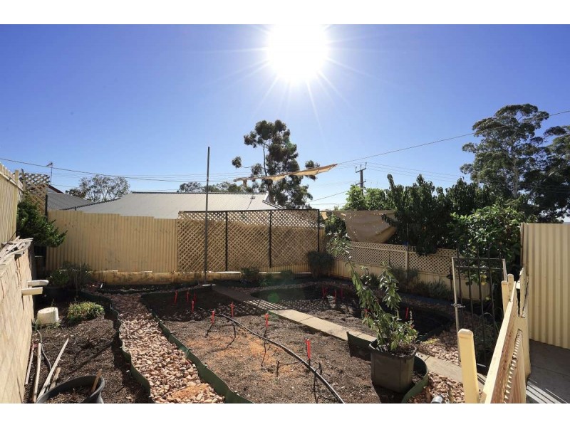 16 Burton Road, Athelstone SA 5076