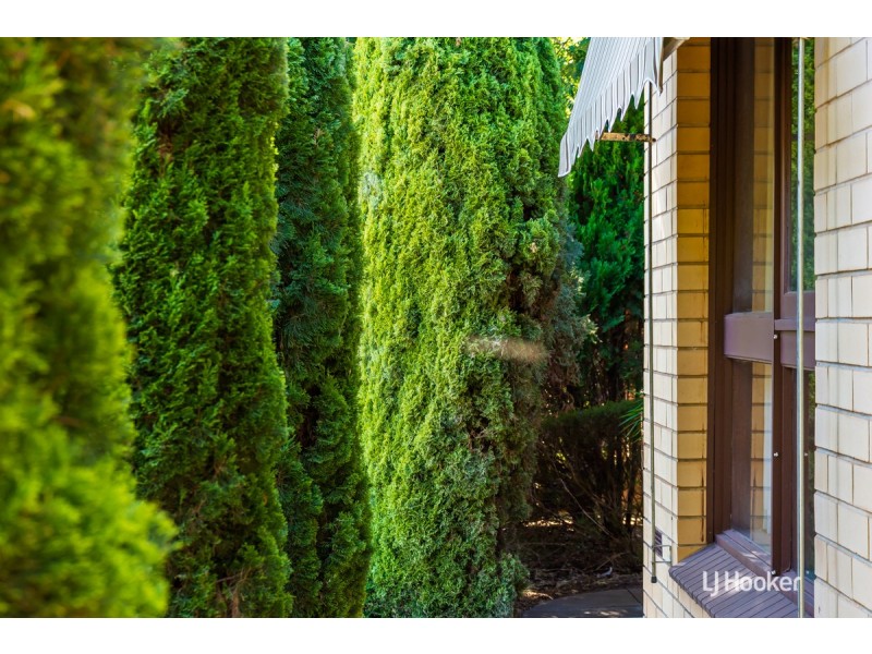 13 Derrick Road, Elizabeth East SA 5112