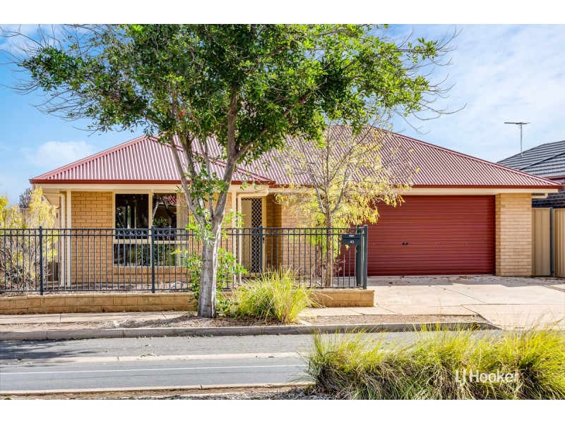 43 Douglas Drive, Munno Para SA 5115