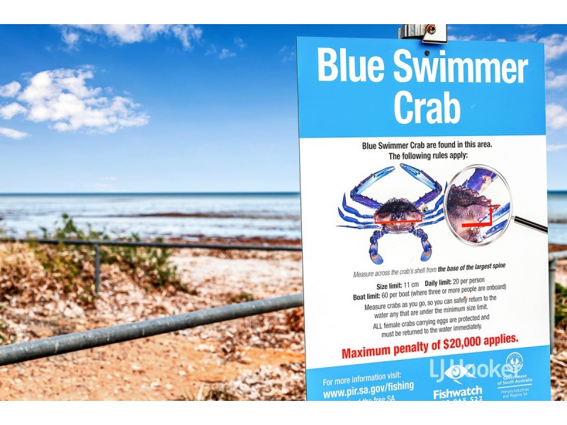 6 Richardson Road, Parham SA 5501