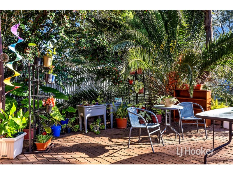 25 Barrington Road, Elizabeth Downs SA 5113