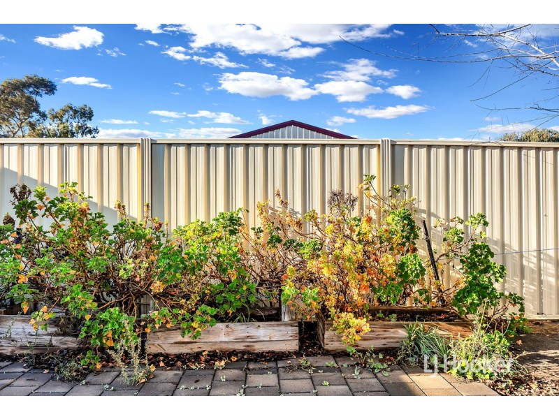 16 Burford Street, Elizabeth Downs SA 5113