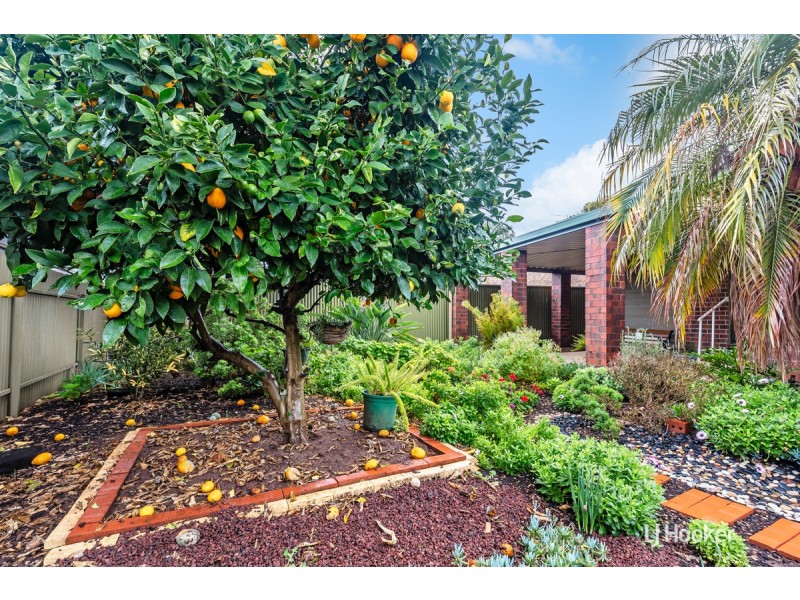 9 Carcoola Road, Munno Para SA 5115