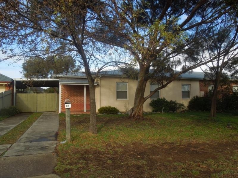 12 Fyfield Street, Elizabeth SA 5112