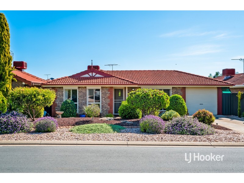 56 Elmwood Circuit, Blakeview SA 5114
