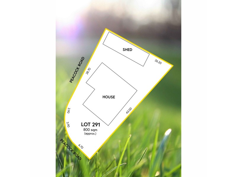 38 Peacock Road, Elizabeth Downs SA 5113 Floorplan