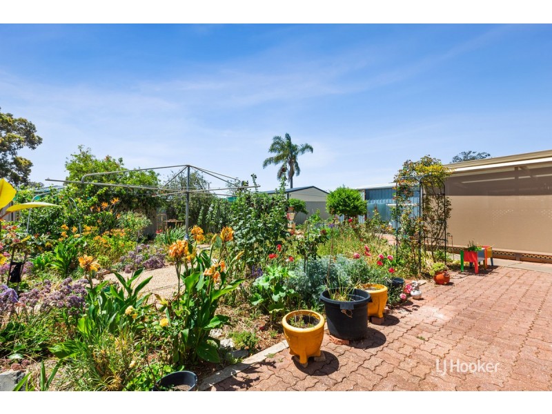 19 Seavington Road, Elizabeth Park SA 5113