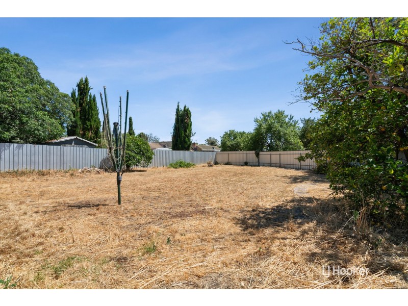 50 Grateley Street, Elizabeth Grove SA 5112