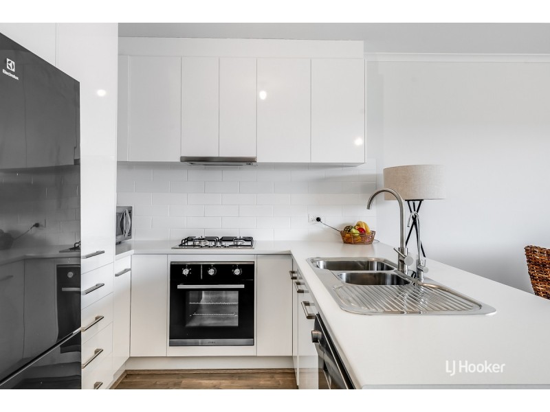 20 Robertson Street, Evanston Gardens SA 5116