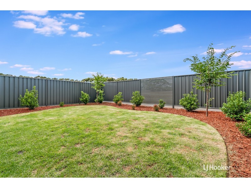 20 Robertson Street, Evanston Gardens SA 5116