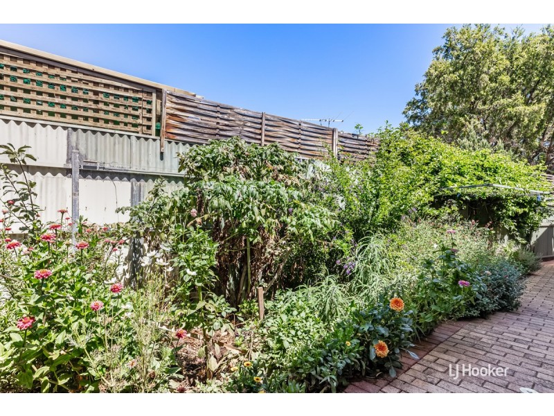 36 Coppleridge Drive, Elizabeth Vale SA 5112