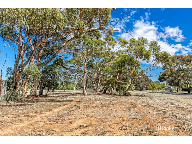 36 Coppleridge Drive, Elizabeth Vale SA 5112