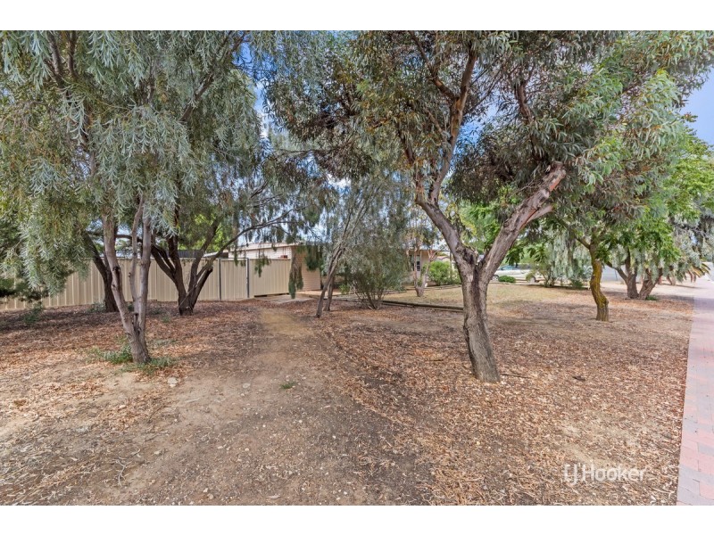 20 Derby Street, Freeling SA 5372