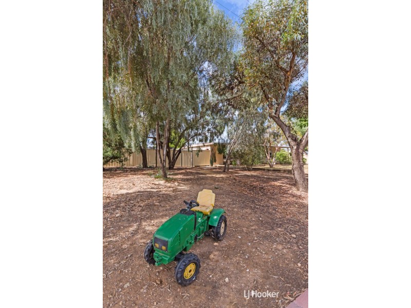 20 Derby Street, Freeling SA 5372