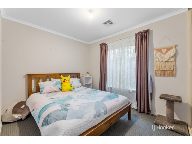 17 Pedler Boulevard, Freeling SA 5372