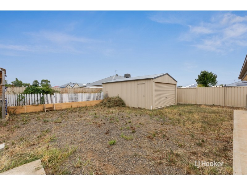 17 Pedler Boulevard, Freeling SA 5372