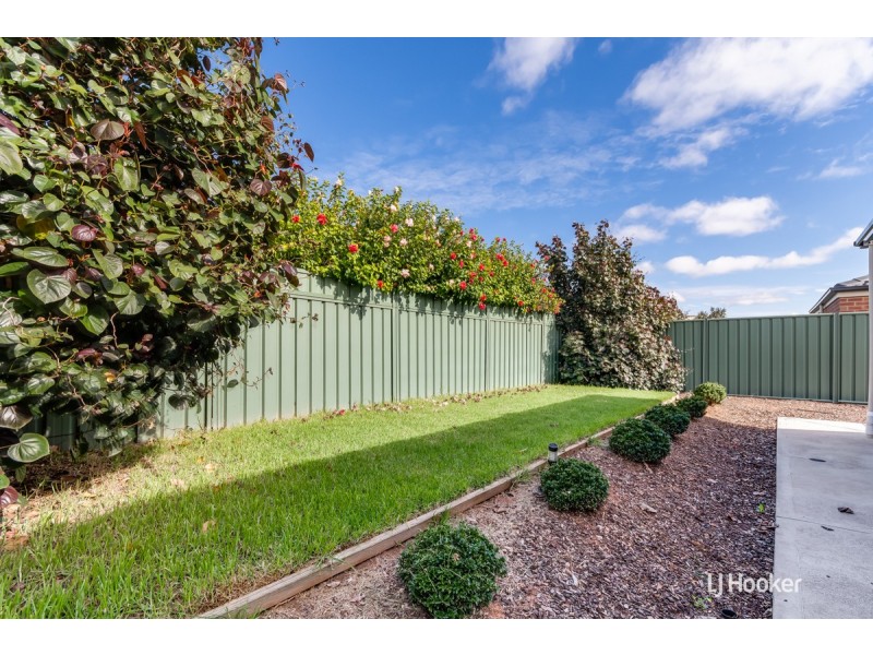 16 Evans Crescent, Evanston Gardens SA 5116