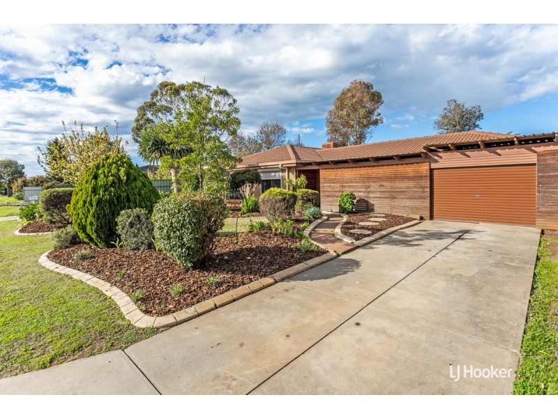 11 President Avenue, Andrews Farm SA 5114