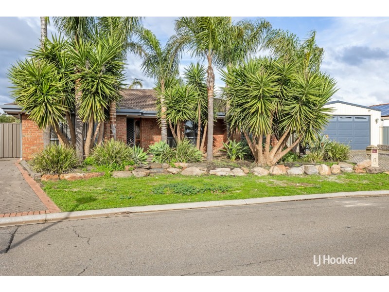 17 Buttercup Grove, Blakeview SA 5114