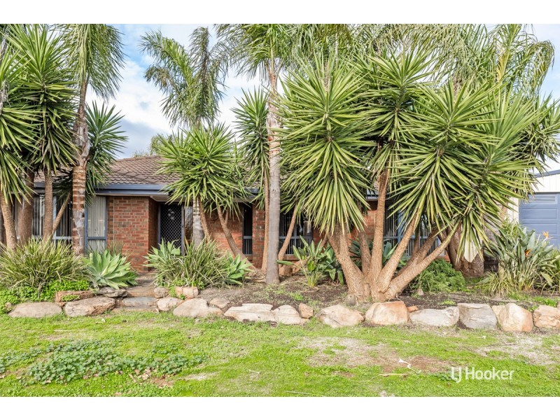 17 Buttercup Grove, Blakeview SA 5114