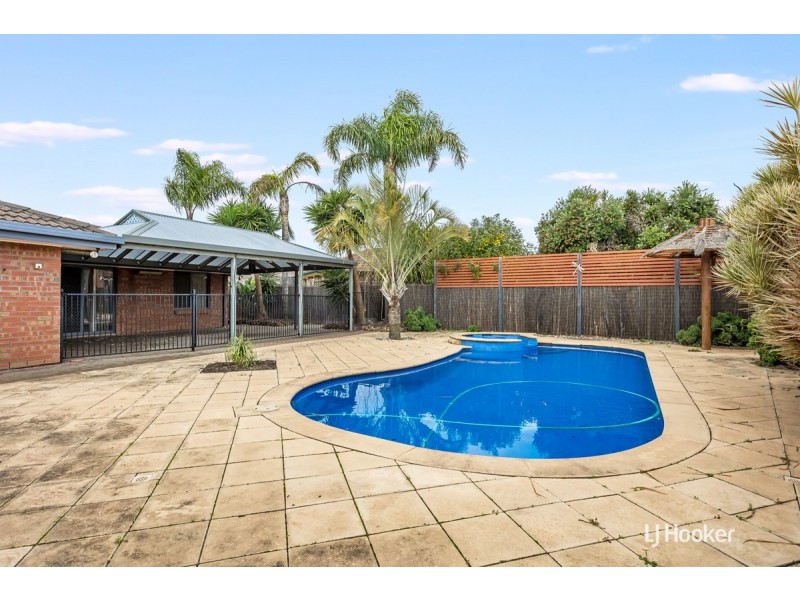 17 Buttercup Grove, Blakeview SA 5114