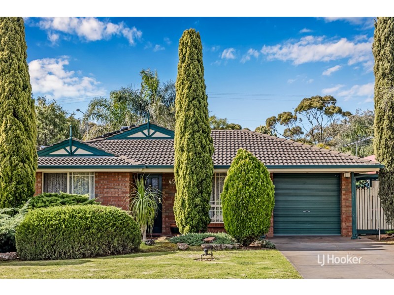 45 Amberdale Road, Blakeview SA 5114