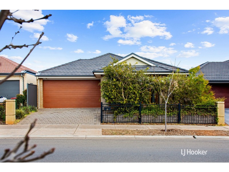 53 Hayfield Avenue, Blakeview SA 5114