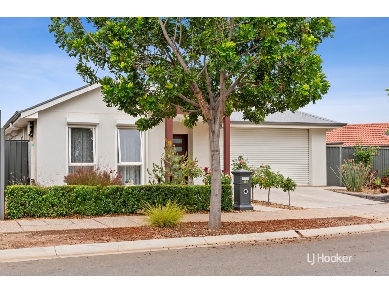 17 Broadwater Place, Blakeview SA 5114