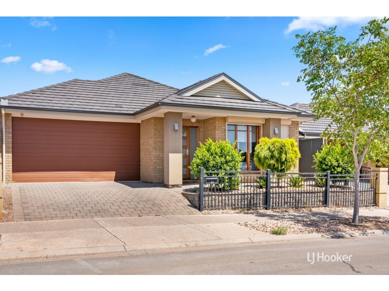 53 Hayfield Avenue, Blakeview SA 5114